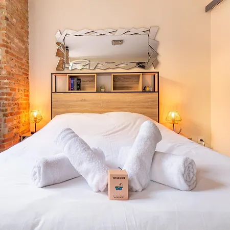 Appartement Le Cocon Toulousain