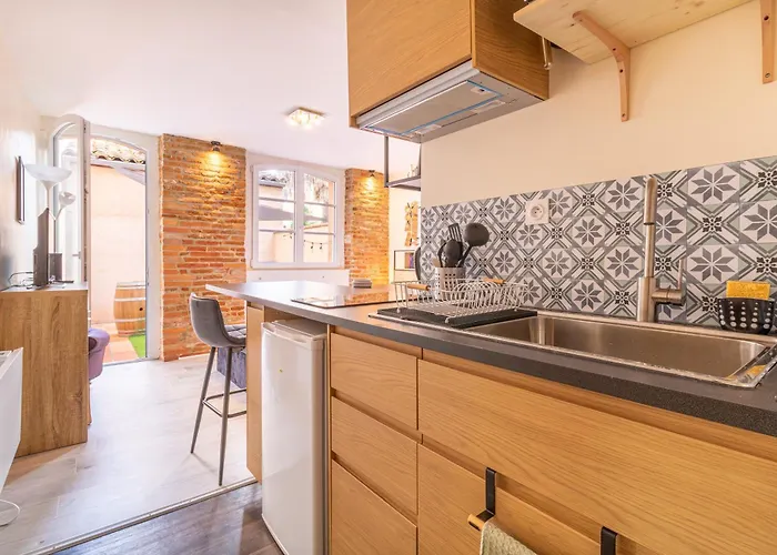 Le Cocon Toulousain Appartement