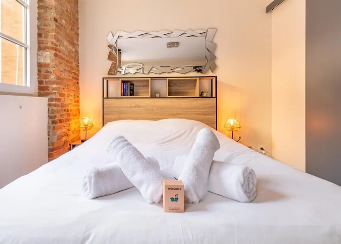 Appartement Le Cocon Toulousain