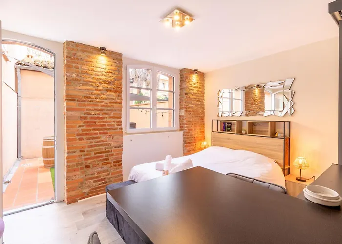 Le Cocon Toulousain * Toulouse