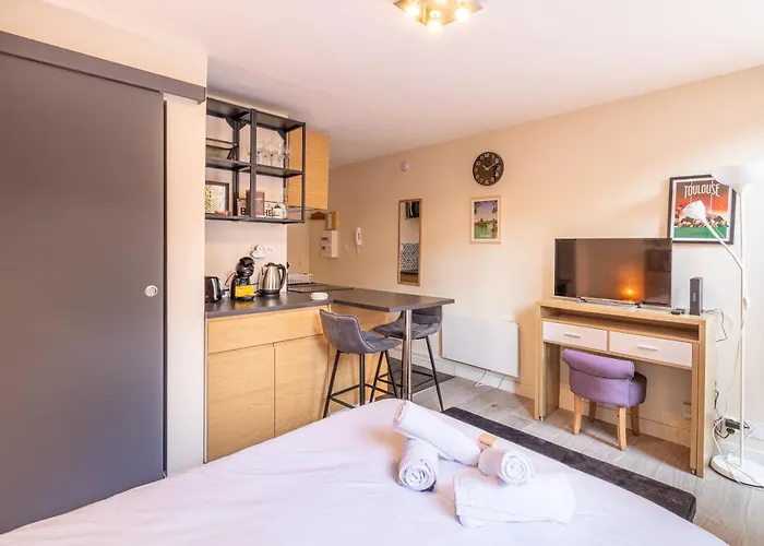 Appartement Le Cocon Toulousain